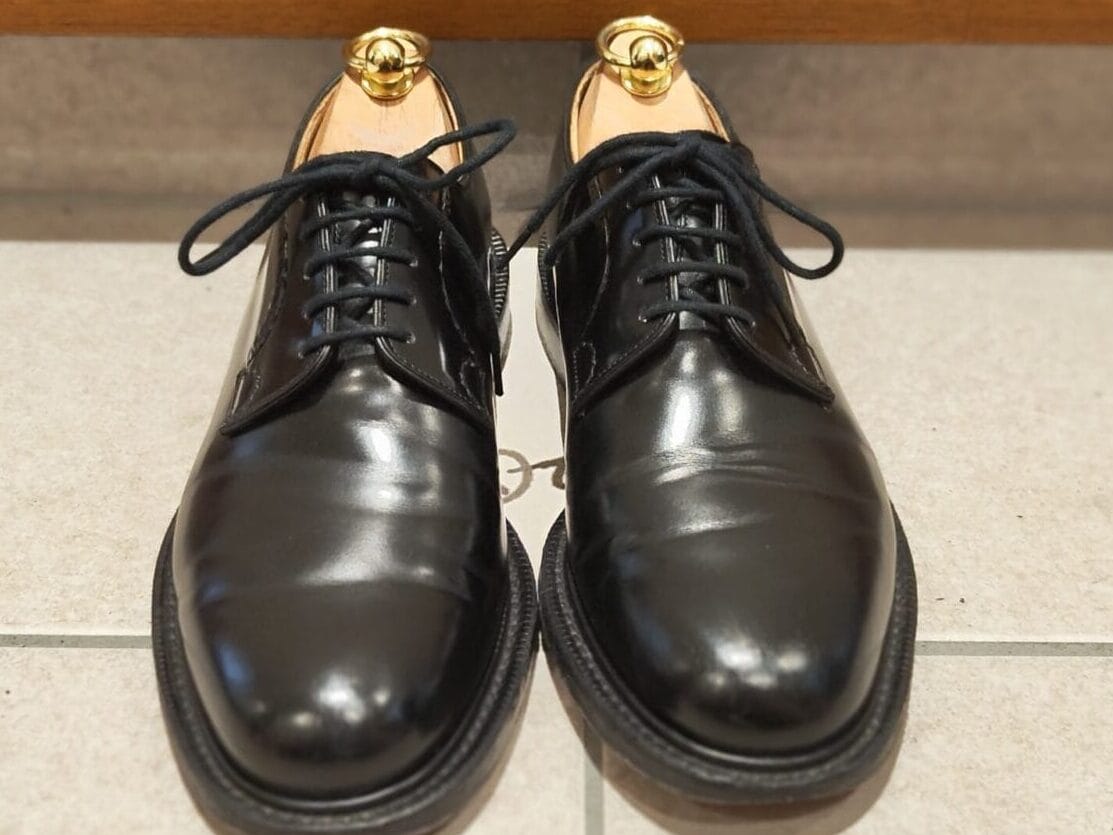 シャノンの正面からの写真