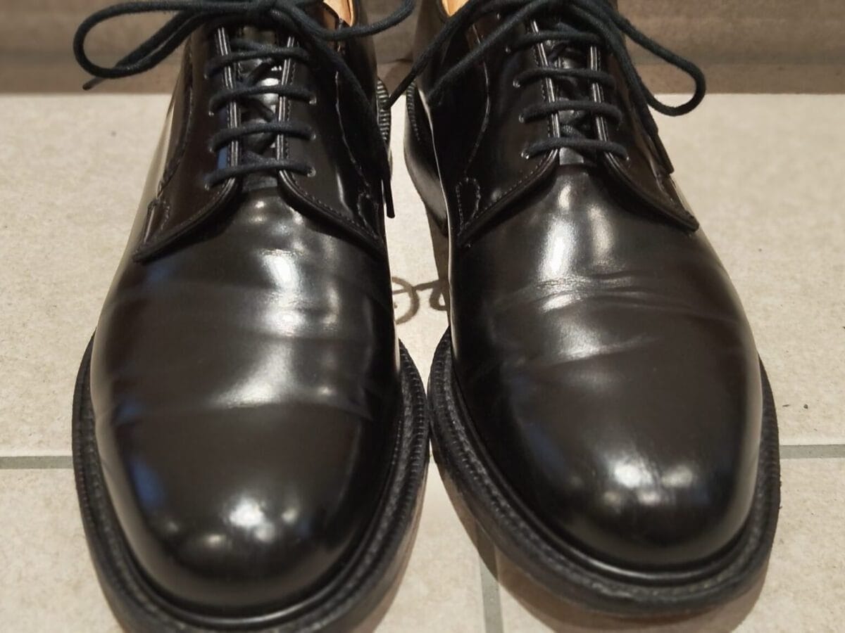 シャノンの履きジワの様子