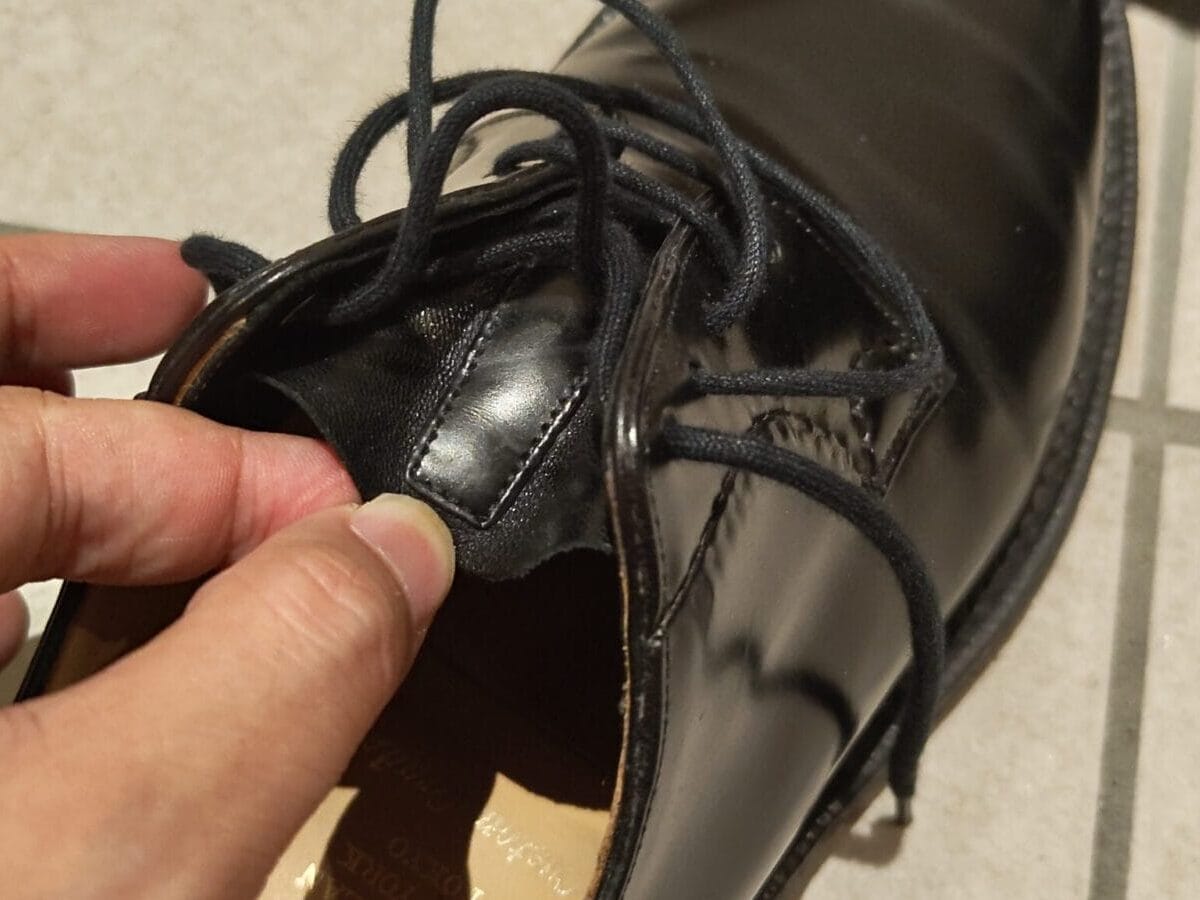 シャノンのガゼットタン