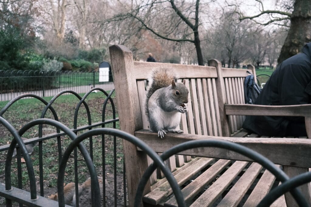 Fujifilm x-m5の初心者作例