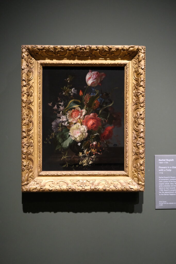 Fujifilm x-m5の初心者作例